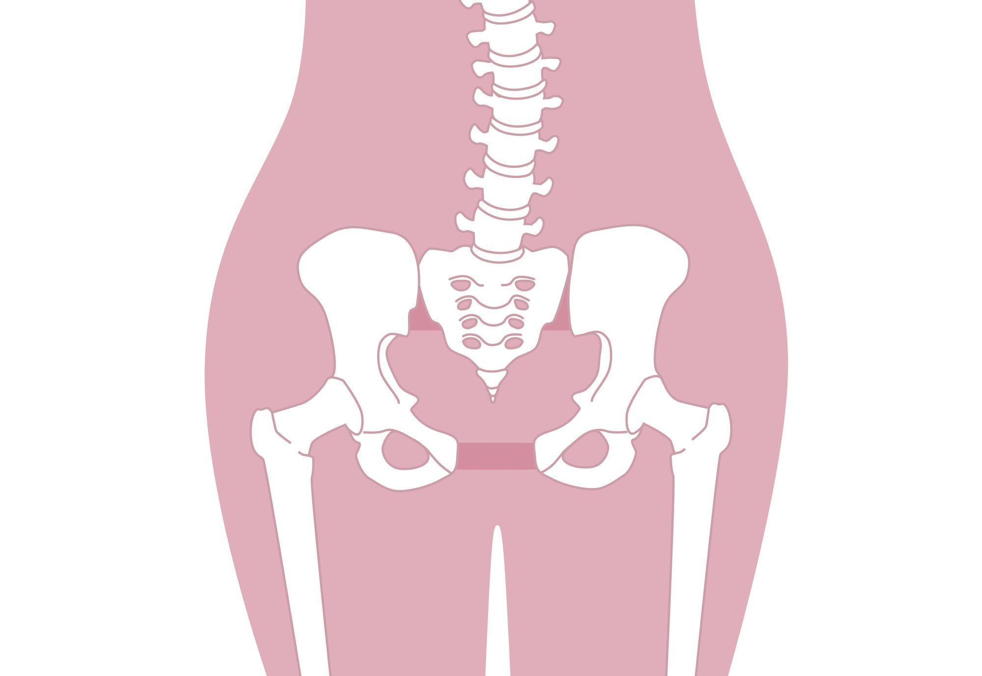女性の骨盤